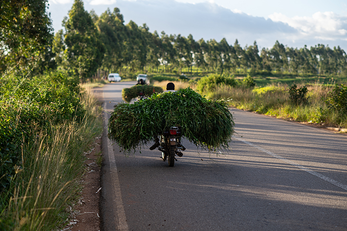 Making Market Systems Work for an Urbanizing World